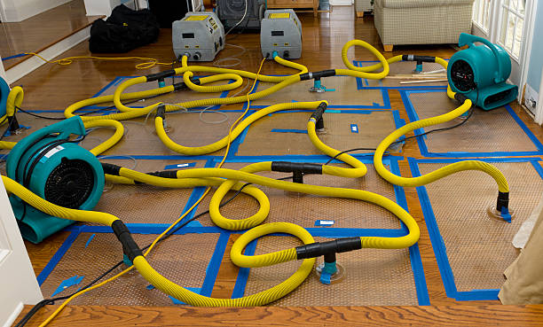 Professional Sewage Cleanup technician working in Fenwick, MI